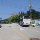 죽변 공설시장 Daum카페