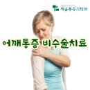 진정형외과의원 네이버블로그