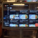 지금조개 | 홍대 점심저녁맛집 조개우물보쌈 가브리살 마늘보쌈 칼국수 후기