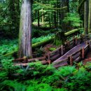 나무호텔 이미지