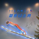 피트니스키 FITNESSKI 이미지