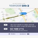 닥터허치과의원 이미지
