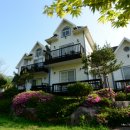 소금강펜션 이미지