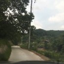 양지별밤 이미지