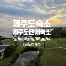 제주 그리고 | 제주 단체숙소 찾는다면 소노캄 제주 그리고 수영장후기