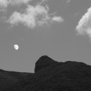 완도상회 이미지