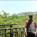 관악산 무장애숲길 이미지