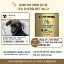 스무해 동물병원 이미지