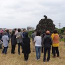 골왓마을방사탑 5호 이미지