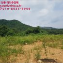 백운면 2062 이미지