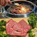 황금송아지 이미지