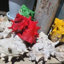 비양리경로당 이미지