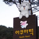 산천어마을 이미지