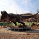 고성자연사박물관 이미지