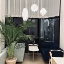 뉴라온스테이 이미지