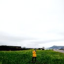 등대하우스 이미지