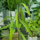 북유성대로(유성-28) 이미지