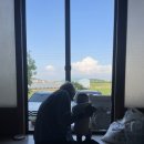 진심당도너츠
