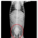 녹양동물병원 이미지