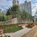 포산초등학교 이미지