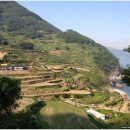 초록마을 다산지금점 | 남해여행, 다랭이마을의 계단식 논과 남해 바다 만끽 후기