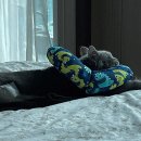 그루비펫 | 반려묘 일기 : 자카르타 동물병원 추천, 펫러브(Petlove Center) 암컷 고양이 중성화 수술 후기