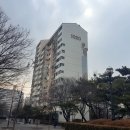 아유