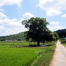 둥구리마을 이미지