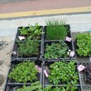 진홍농장 이미지