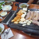 한라산똥돼지 이미지