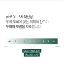 달리프 세이지 베러 루트 댄드러프 샴푸 1+1 이미지