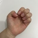 웨딩촬영 수제네일팁 추천 수제주문제작네일팁 데이뉴네일 구매 후기