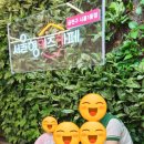 시흥대로45길 이미지