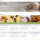 홍대제과제빵학원, 반려동물 수제 간식 펫푸드 국비과정 상담 후기!