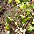 덕장농장 이미지