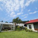 고운채 스테이 이미지