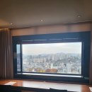 서울 신라호텔 객실과 수영장 후기/스탠다드 디럭스 트윈/어반 아일랜드