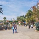 알라딘게임장 이미지