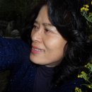 대평로농장 Daum카페