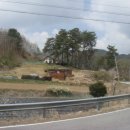 무릉도원면-26 이미지