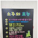 팔도강산 동태찜 이미지