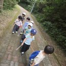 9월 둘째주 생태놀이(가을 느끼기/가을 물놀이/칡꽃 향기맡기/칡잎가면놀이/수련원 몸짓놀이/생가터 놀이/가을농작물 보기/귀산서원/책놀이) 이미지