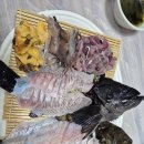 선창활어횟집