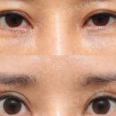 라이블리성형외과의원 이미지