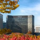 밀레니엄 이미지