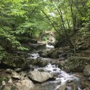 진주 총림선원 시왕도 | [전남 순천] 조계산 선암사 / 108사찰 성지순례 #019