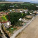 대치동하나공인중개사사무소 이미지