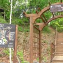 아세안자연휴양림 이미지