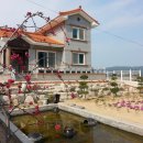 선학농장 이미지