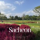 순천만국가정원(동문) | 순천만 국가정원 입장료 할인 주차장 가을 여행 다녀온 후기 (지도 스카이큐브 동문 서문 오천)